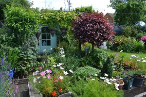Garden- click for photo gallery